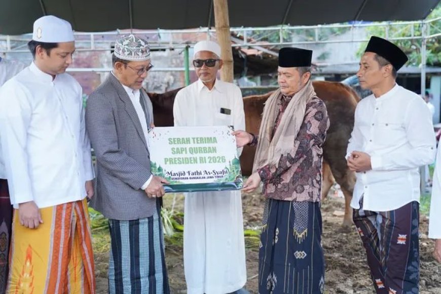 Idul Adha 1447 H, Bangkalan Terima Sapi Kurban Presiden Seberat 1,1 Ton