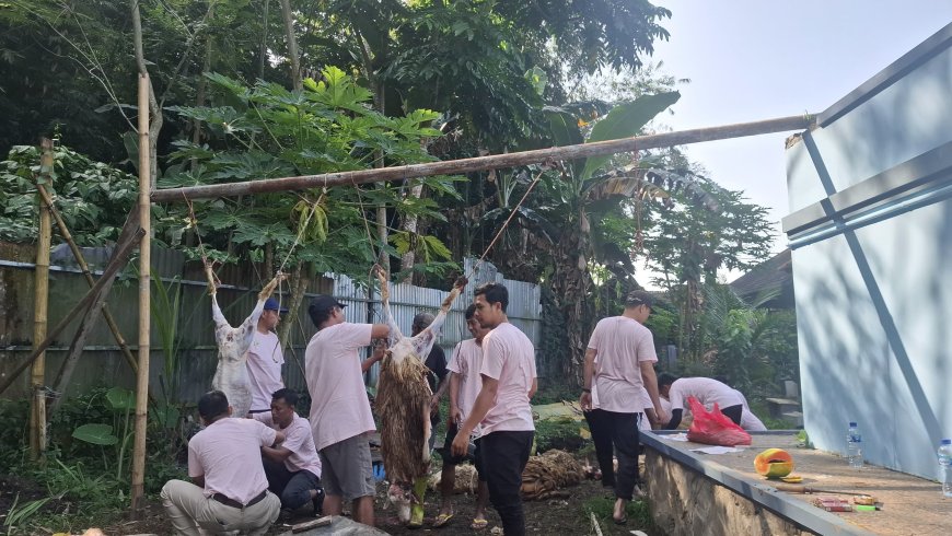 RSD Kalisat Salurkan 17 Domba dan 1 Sapi Kurban, Libatkan Pegawai hingga Tenaga Kesehatan