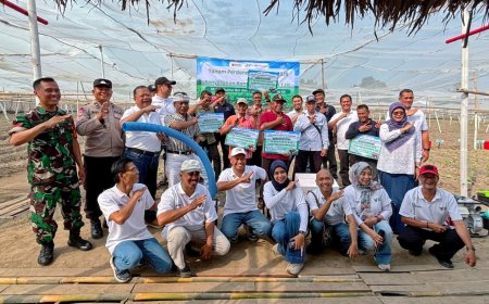 Perluas Tembakau Ekspor di Klaten, PTPN I Bantu Petani dengan Sumur Bor