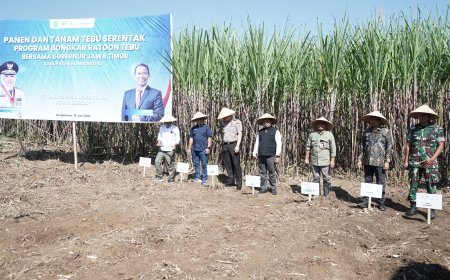 Wabup As'ad Yahya Syafi'i Optimis Bondowoso Jadi Sentra Tebu Modern Penopang Swasembada Gula Nasional Indonesia