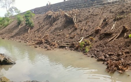 Timbulkan Dampak Lingkungan, Area Disposal Pembangunan Sekolah Rakyat Banyuwangi Diadukan kepada Bupati dan Menteri PU