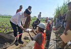 Tinjau Rehabilitasi Irigasi Tersier, Gus Fawait Pastikan Opla 20 Hektare di Jenggawah Dukung Ketahanan Pangan
