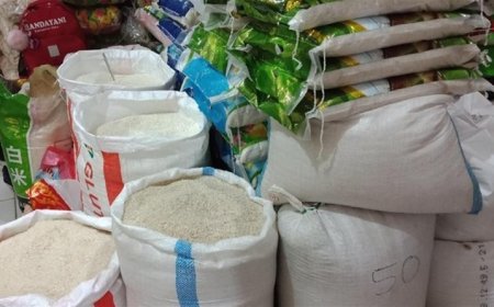 Daerah Lumbung Pangan di Jawa Timur, Produksi Beras Banyuwangi Januari Hingga Juni 2026 Surplus 174 Ribu Ton