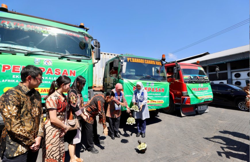 Banyuwangi Sukses Ekspor Sarden Senilai Rp10 Miliar ke Berbagai Negara