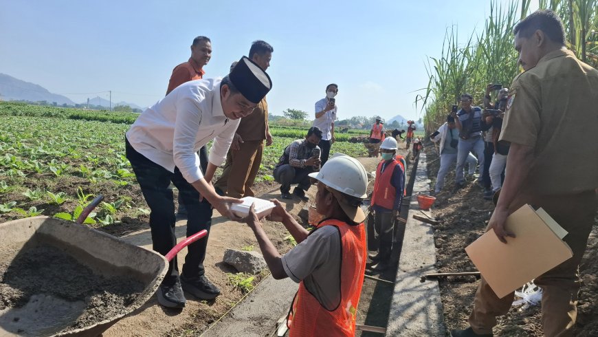 Tinjau Rehabilitasi Irigasi Tersier, Gus Fawait Pastikan Opla 20 Hektare di Jenggawah Dukung Ketahanan Pangan