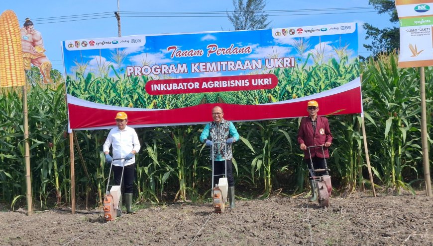 Komitmen Swasembada Jagung, Pemkab Jember Perkuat Sinergi Pertanian